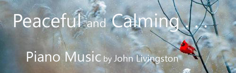 Banner peaceful2