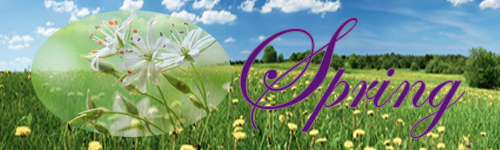 Website banner ph spring